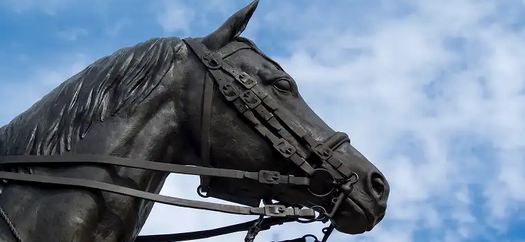 The Horse 5